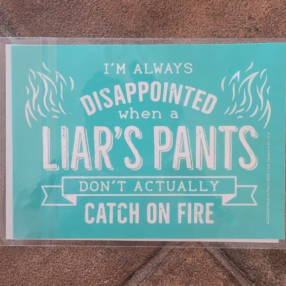 Pants on Fire,  5 x 7 ~ Reuseable Silk Screen Stencil - Picture 1 of 1